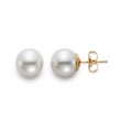 Freshwater Pearl Earrings