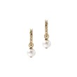 Essential Pearl Hoop Earring