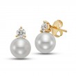 Freshwater Pearl Ear