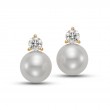 Freshwater Pearl Ear