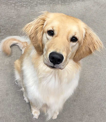 Zoey